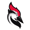 Woodpecker
